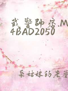武警帅痞.MP4BAD2050