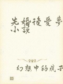 先婚后爱梦筱二小说