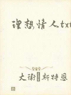 理想情人txt