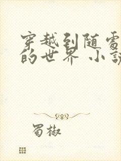 穿越到随处做 的世界 小说