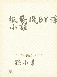 纸飞机BY潭石小说