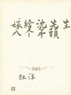 嫁给沈先生的第八个年头