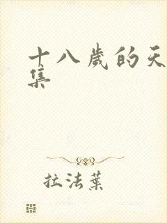 十八岁的天空续集