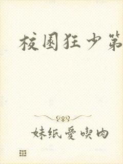 校园狂少第二部