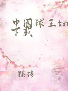 中国球王txt下载