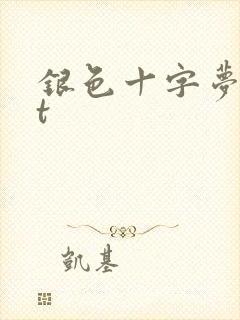 银色十字梦txt