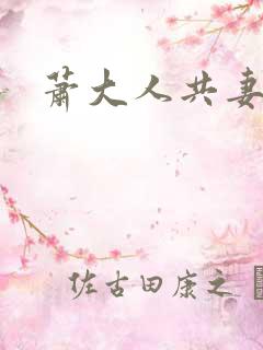 萧大人共妻