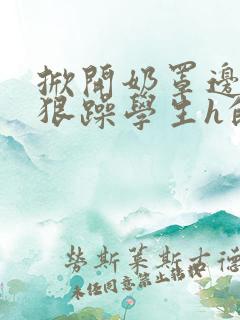 掀开奶罩边躁狠狠躁学生h的小说