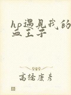 hp遇见我的混血王子