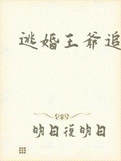 逃婚王爷追逃妃