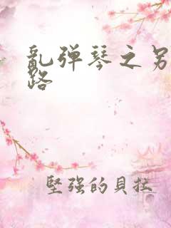 乱弹琴之另一条路