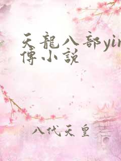 天龙八部yin传小说