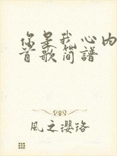 你是我心内的一首歌简谱