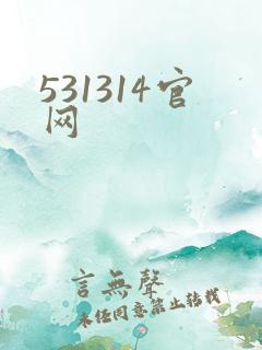 531314官网