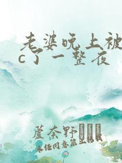 老婆晚上被躁狂c了一整夜