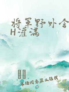 将军野外含公主H灌满