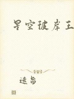 星空彼岸王轩