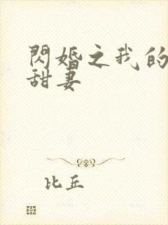 闪婚之我的惹火甜妻