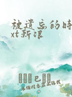 被遗忘的时光txt新浪