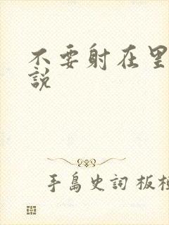 不要射在里面小说