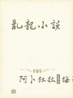 乱龙小说