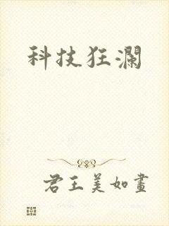 科技狂澜
