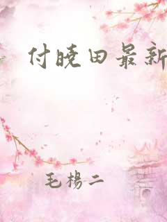 付晓田最新消息