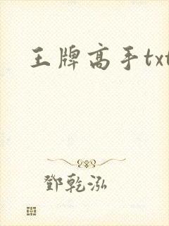 王牌高手txt