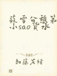 苏雪公憩第一章小sao货水