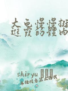 大龟慢慢挺进王进霞的体内