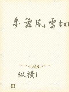 梦舞风云txt