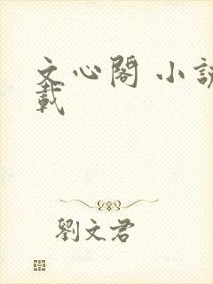 文心阁 小说连载