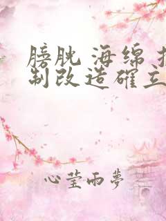 膀胱 海绵 控制改造确立m