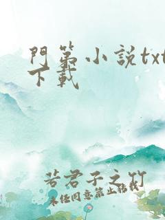 门第小说txt下载