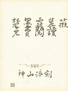 楚墨霆慕薇小说免费阅读