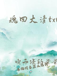 魂回大清txt
