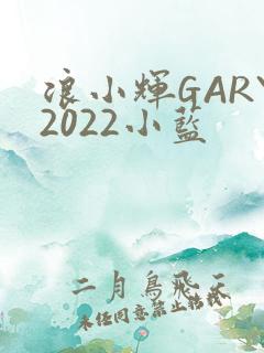 浪小辉GARY2022小蓝