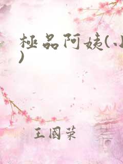 极品阿姨(小说)