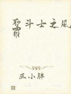 圣斗士之风舞娑罗