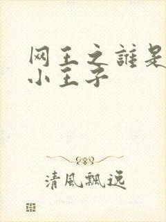 网王之谁是我的小王子