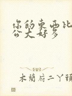 你的东西比我老公大好多