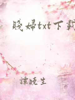 贱妇txt下载