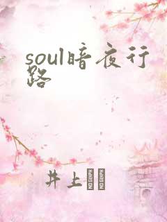 soul暗夜行路