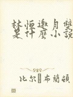 林恒邀月双胞胎是什么小说