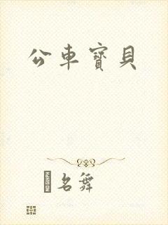 公车宝贝