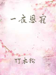 一夜恩宠
