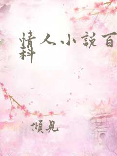 情人小说百度百科