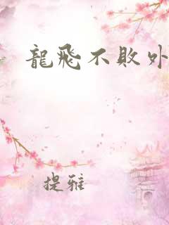龙飞不败外传