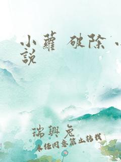 小萝 破除 小说