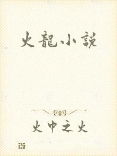 火龙小说